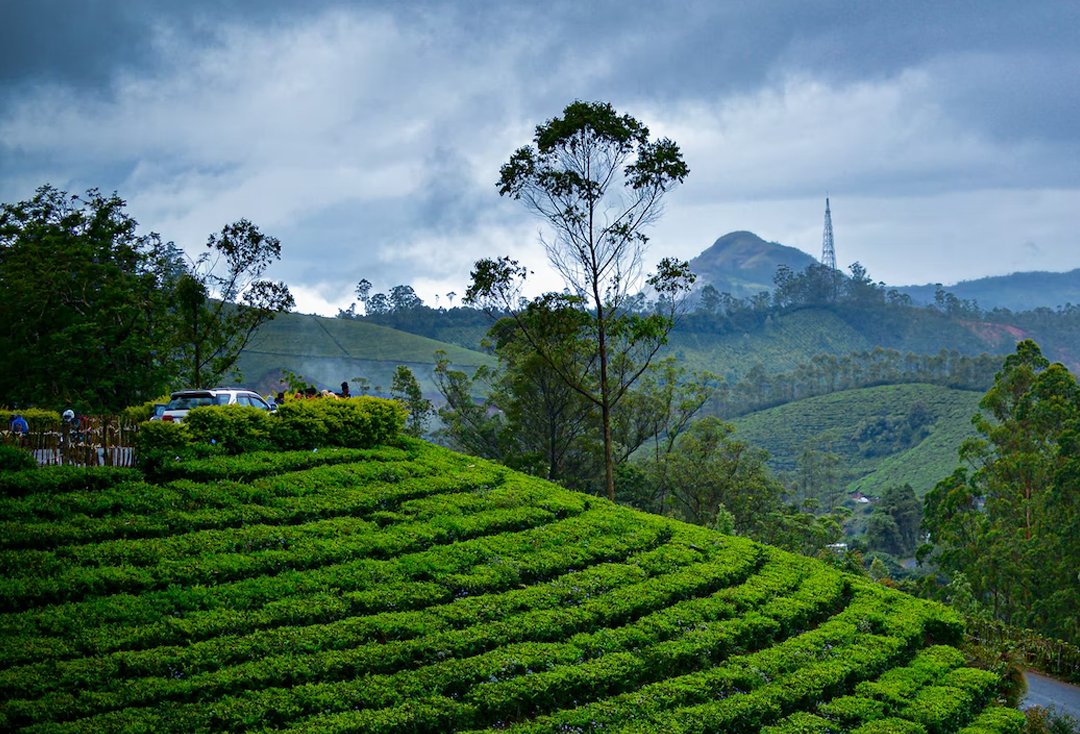 munnar